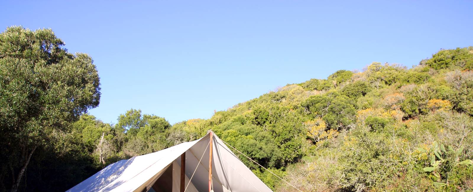 Sydafrika - Amakhala Game Reserve - Quatermains Camp 50