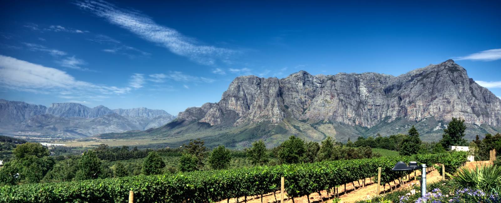 Sydafrika - Stellenbosch (5)_0
