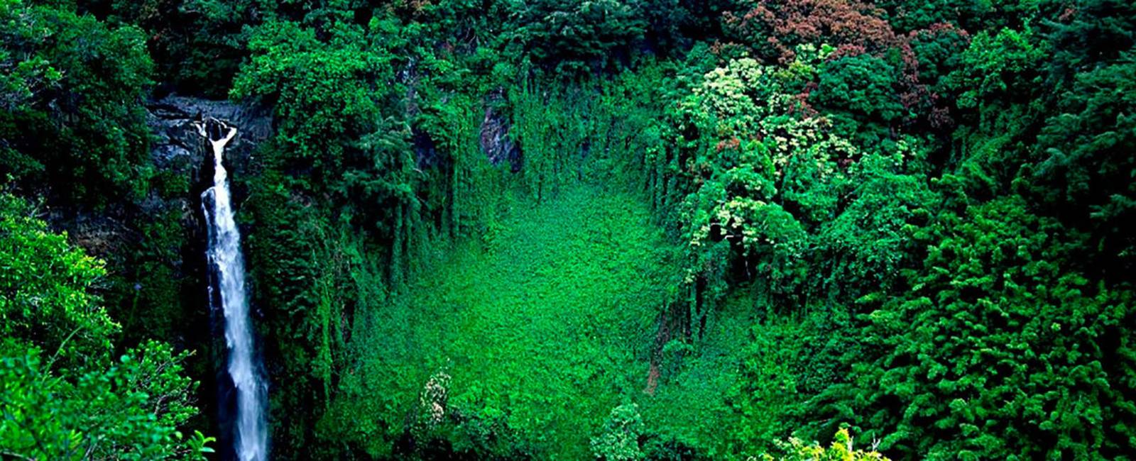 USA - Hawaii - Maui - Hana - Natur - Vandfald - 2.jpg