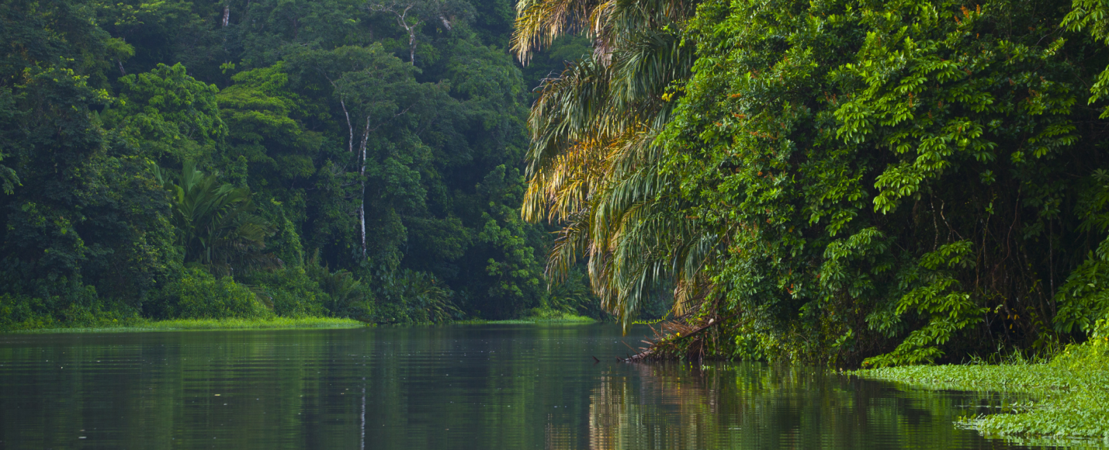 Rejse til Costa Rica - eventyr og strand