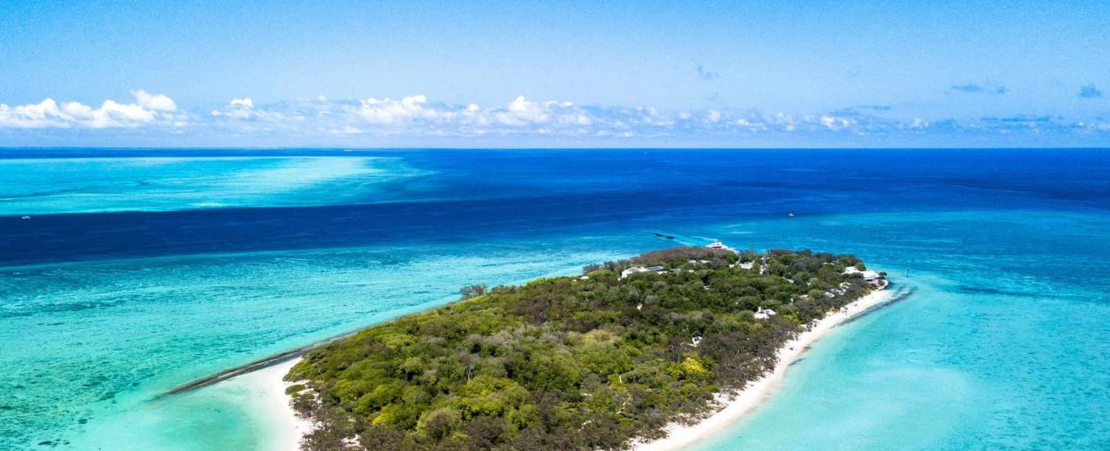 heron island new.jpg