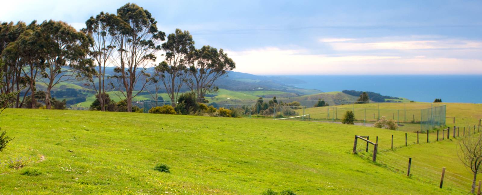 mclaren_vale_4