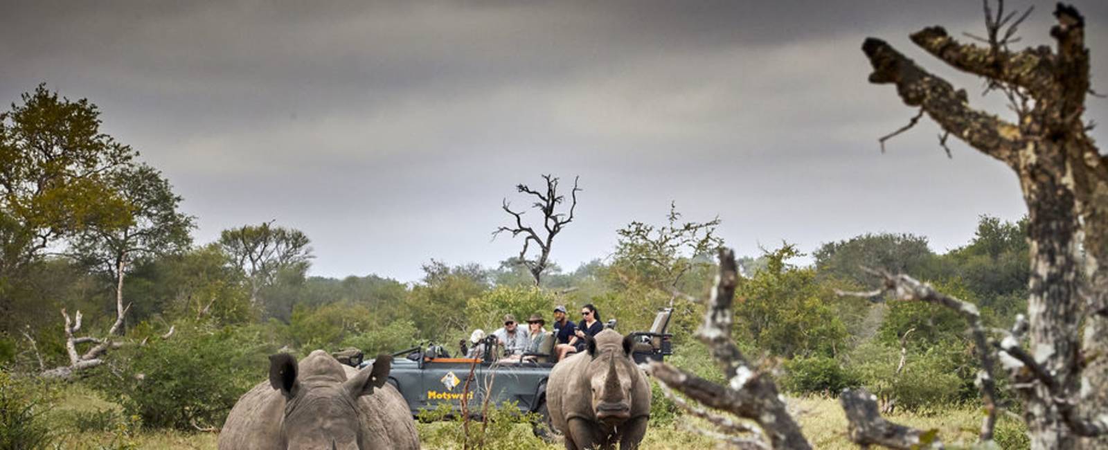 Rejser til Kruger og Panoramaruten