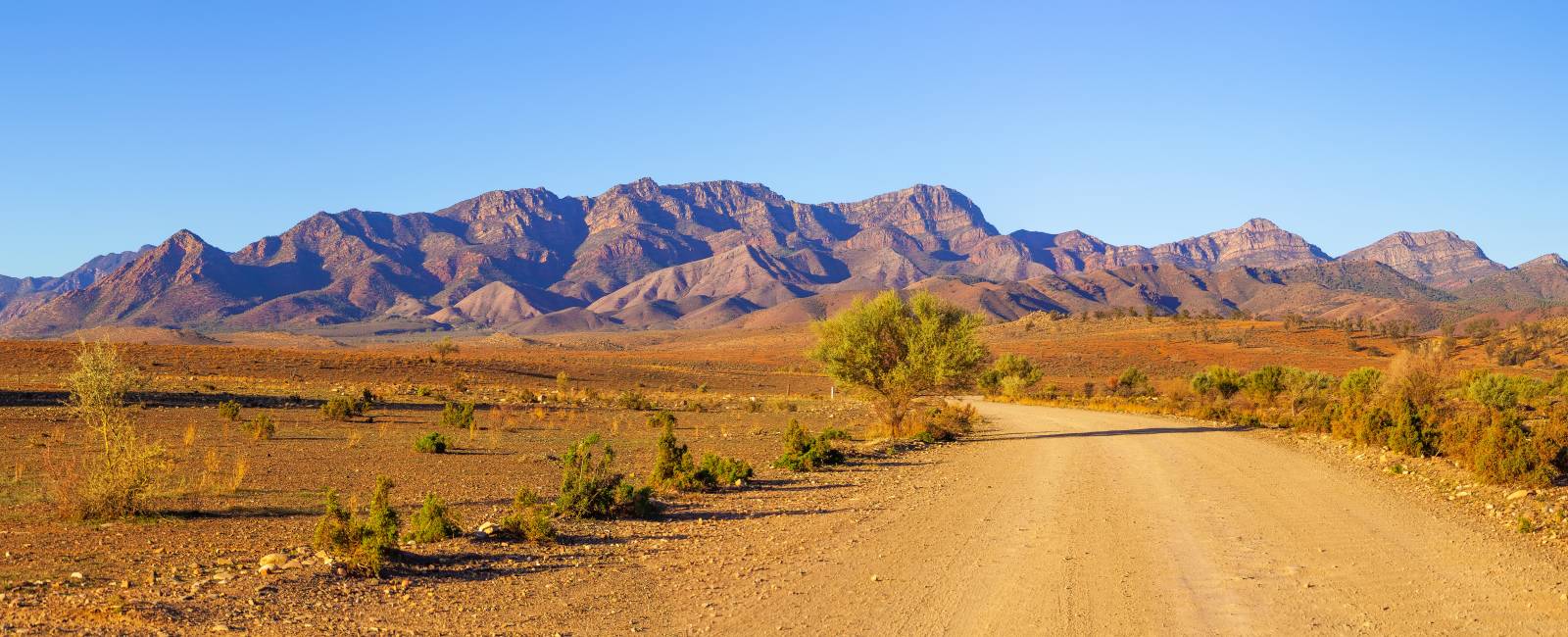 Det bedste af Australien
