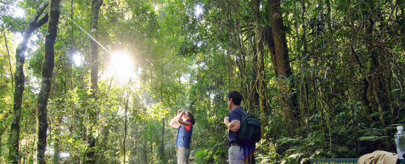 Australien - Queensland - Lamington National Park - vandretur_3