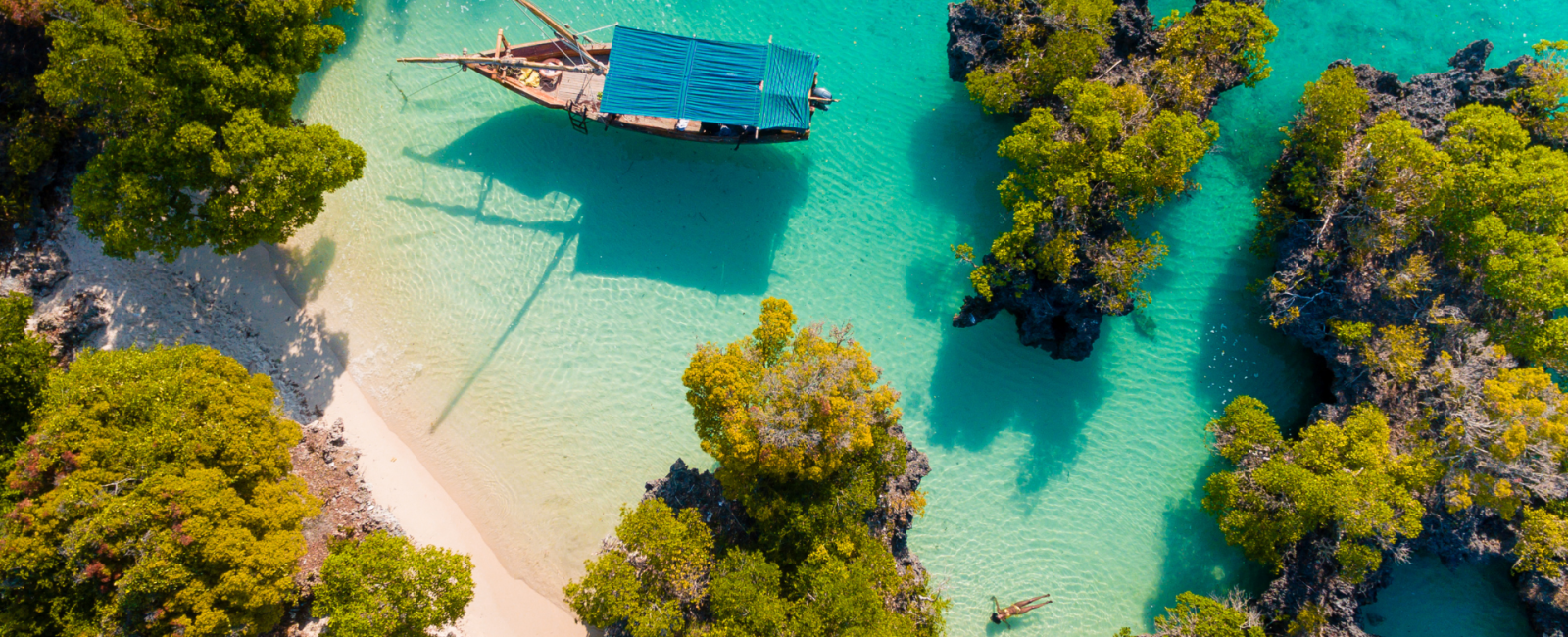 Zanzibar och safari i Tanzania