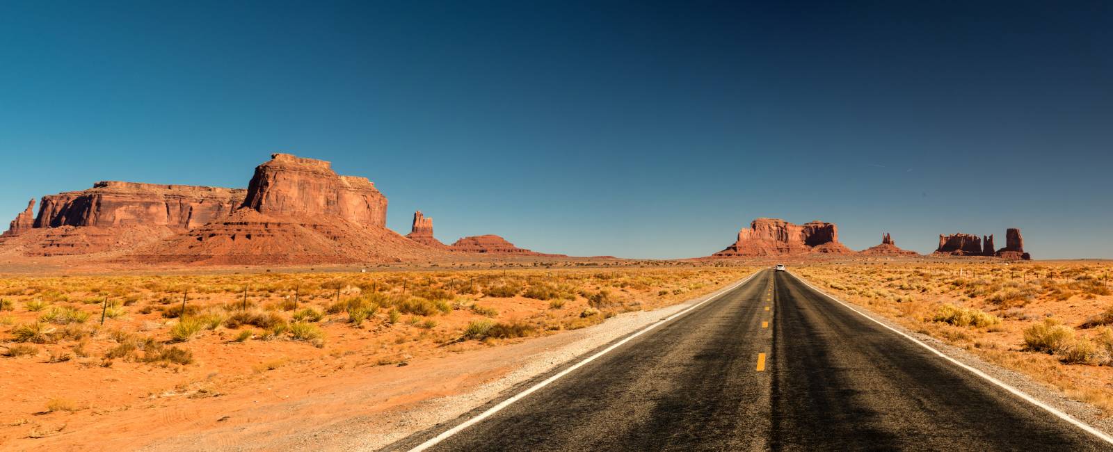arizona usa topbanner 2.jpeg