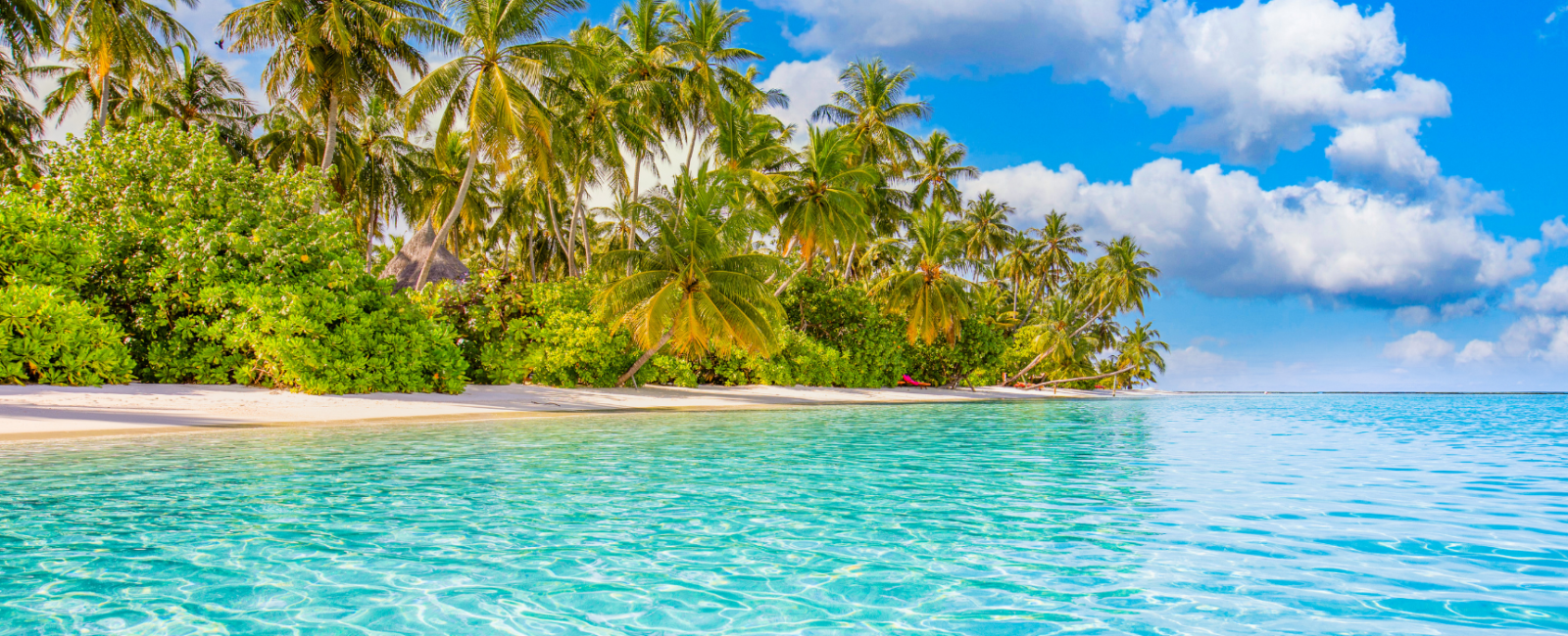 Det bedste af fransk polynesien