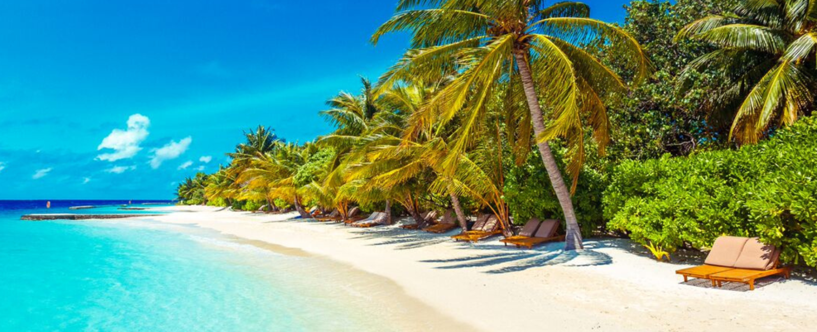 Rejse til Maldiverne Lily Beach Resort