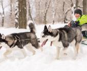 Finland Family Winter Adventure