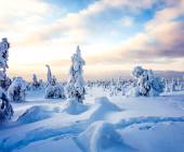 Finnish Wilderness Week