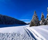 Snowshoeing in the Dolomites – Premium Adventure