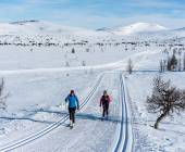 Cross-Country Skiing in Venabu