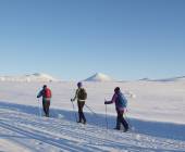 Cross-Country Skiing in Venabu