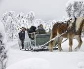 Cross-Country Skiing in Venabu