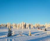 Mixed-Activity Holidays in Finland