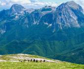 Walking Northern Tuscany