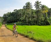 Cycle the Back Roads of Sri Lanka