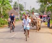 Southern India Coast to Coast Ride
