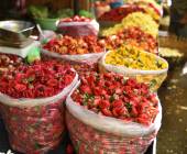 Southern India Coast to Coast Ride