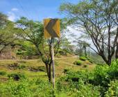 Southern India Coast to Coast Ride