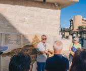 Petra & Wadi Rum by Bike