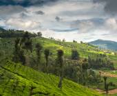 Discover South India – Premium Adventure