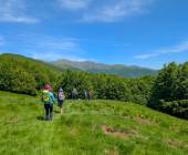 Walking Northern Tuscany