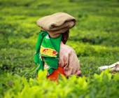 Southern India Coast to Coast Ride