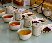 Cycle Kerala & Tropical India