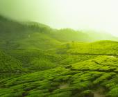 Cycle Kerala & Tropical India