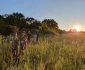 Botswana & Zimbabwe Lodge Safari