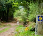 Trekking the Camino de Santiago