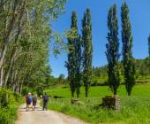 Trekking the Camino de Santiago