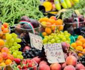 Discover Tuscany: Culture, Food & Wine