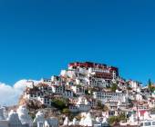 Search for Snow Leopards with Valerie Parkinson