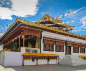 Search for Snow Leopards with Valerie Parkinson