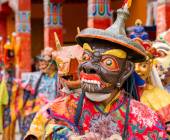 Search for Snow Leopards with Valerie Parkinson