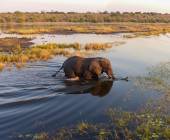 Botswana & Zimbabwe Lodge Safari