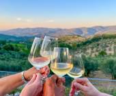 Tuscany Walks & Chianti Wines