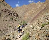 Peaks of Ladakh Trek