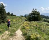 Hike Bulgaria’s Rodopi Mountains