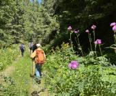 Hike Bulgaria’s Rodopi Mountains