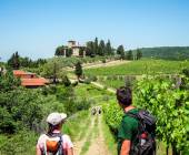 Tuscany Walks & Chianti Wines