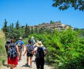 Tuscany Walks & Chianti Wines