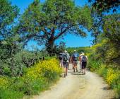 Tuscany Walks & Chianti Wines