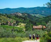 Tuscany Walks & Chianti Wines