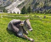 Hiking the Dolomites