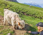Hiking the Dolomites