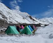 Search for Snow Leopards with Valerie Parkinson
